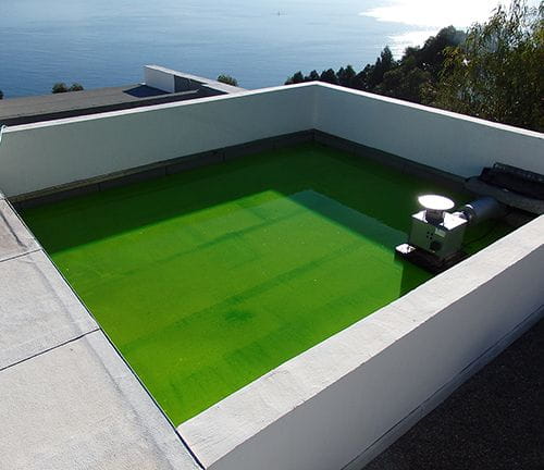 Mise en eau avec de la fluorescéine colorante