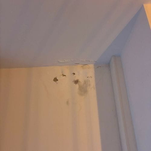 Constatation traces infiltration au plafond