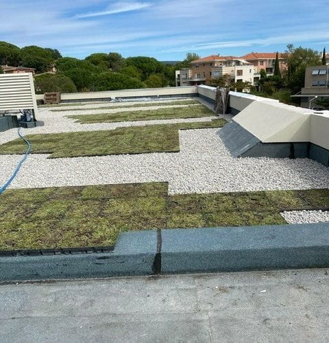 Toiture végétalisée naturelle : opération CENTRE DIALYSE & POLE ENFANCE (Gymnase) à Fréjus